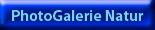 photogalerie_natur